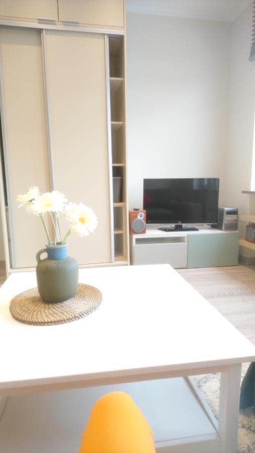 Secret Apartament 1 포즈난 외부 사진